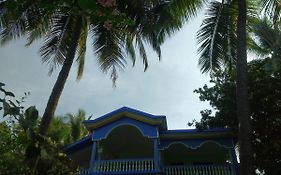 The Purple House